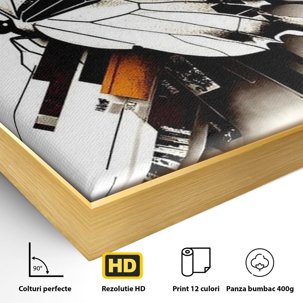 Detaliu al suprafetei: ilustratie digitala cu fluture si linii geometrice, in rama de aluminiu auriu
